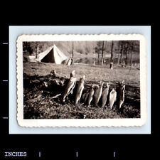 Vintage Photo ABSTRACT FISH AGAINST LOG CAMPING TENT picture