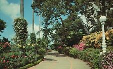 San Simeon California, Hearst San Simeon Gardens La Casa Grande Vintage Postcard picture