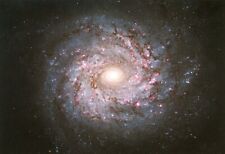 Spiral Galaxy in the Constellation Ursa Major, NASA Photo --POSTCARD picture
