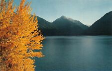 Wallowa Lake OR Oregon Mountains Fishing Boating Scenic View Vtg Postcard S6 picture