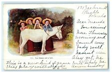 1907 Four Queens and a Jack Ass Donkey Embossed Girls Pueblo Colorado Postcard picture