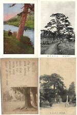 JAPAN ASIA TREES 150 Vintage Postcards Pre-1950 (L2402) picture