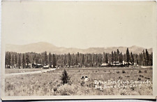1930 BIG BEAR CITY CA PETER PAN WOODLAND CLUB GROUNDS RPPC Postcard San Bern D3 picture
