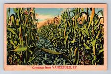 Vanceburg KY-Kentucky, Scenic Greetings, Antique Souvenir, Vintage Postcard picture