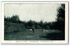 c1920 Scene Sykes Wilderness Field Trees Larchwood Iowa Vintage Antique Postcard picture