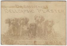 Odd Original Photograph Trade Card Dr. Grosvenor’s Bellcapsic Plaster & Puppies picture