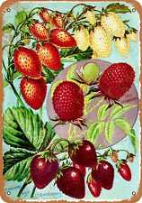 Metal Sign - 1902 Tree and Bush Strawberries -- Vintage Look picture
