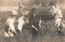 Women Gardening Ethridge Tennessee TN Lawrenceburg 1908 Real Photo RPPC picture