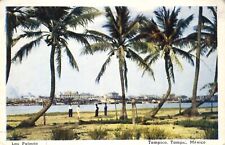 Tampico Tamaulipas México People Palms overlooking the River Postcard picture