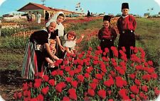 Postcard Tulip Time in Holland Michigan MI Vintage picture
