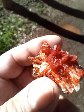 Brilliant Orange Vanadanite Mineral picture