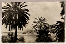 RPPC Menton, France, View of Palms, Border with Italy, Vintage Photo Postcard picture