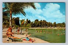 Warm Mineral Springs FL-Florida, Mineral Water, Antique Vintage Postcard picture