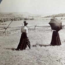 Antique 1902 Blomidon Provincial Park Nova Scotia Stereoview Photo PC632 picture