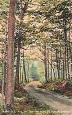 Rangeley Lake Maine The Road to Munyon Springs postcard PC 3.2 picture