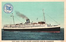 Vintage Postcard 1930's Twin Screw Knot Eastern Passenger Liner S.S. Evangeline picture