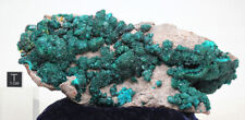 DIOPTASE WULFENITE Crystal Cluster Emerald Green Mineral Specimen Museum Quality picture