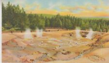 Fountain Paint Pots, Lower Geyser Basin. YELLOWSTONE NATIONAL PARK. #954 Vintage picture