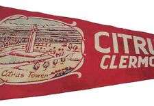 🍊  Citrus Tower Clermont Fla. FLORIDA FL Pennant / Banner Flag Wall Hanger picture