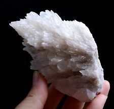 257g Natural Complete “Angel Wings” White Calcite Mineral Specimen/China picture