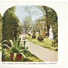 Arlington Virginia Cemetery Graves Stereoview c1905 Mother Baby Pram Path F723 picture