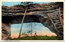 Postcard Natural Bridge State Park Kentucky Vintage picture
