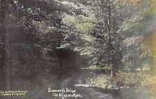 Postcard MI: Swaney's Drive, Old Mission, Michigan, Antique DB, 1910's picture
