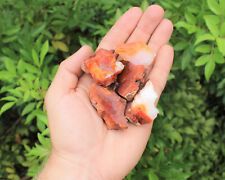 5 Pack Large Rough Natural Carnelian (Raw Stone Crystal Agate, MADAGASCAR) picture