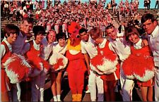 1966 Cheerleaders & Mascot Jacksonville State University Jacksonville AL C12 picture