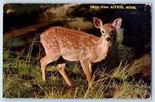 Aitkin Minnesota MN Postcard Surprised Fawn Deer Animal c1960's Vintage Antique picture