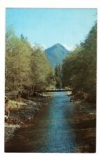 Postcard WA Sol Duc River Foot Bridge Vintage Washington View picture