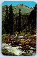 Loveland Colorado CO Postcard Glacier Creek Long's Peak Rocky Mountain Park 1961 picture