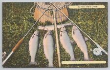 Postcard A Fine Day's Catch, Fly Fishing for Trout Vintage picture
