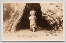 RPPC 1925 Con Man CHIEF WHITE ELK Edgar Laplante In Front Of Hollow Tree A146 picture