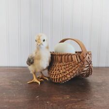 Small Vintage Buttocks Basket picture