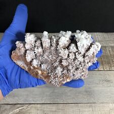 439g  Calcite Crystal Cluster Mineral Specimen w Stand 85-10 picture
