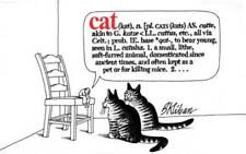 Cat - Paperback By Kliban, B. - GOOD picture