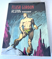 Flash Gordon in The Planet Mongo 1978 picture