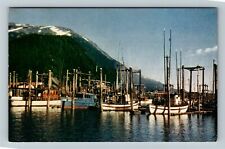 Juneau AK-Alaska, Fishing Fleet, Dock, Boats, Vintage Postcard picture