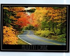 Postcard - Autumn Drive picture