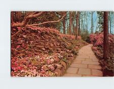 Postcard Winding Flagstone Walk Azaleas Bellingrath Gardens Alabama USA picture
