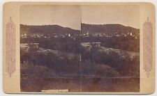 OREGON SV - Roseburg Panorama - Continent Stereo Co 1880s picture