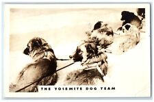 1938 The Yosemite Dog Team Winter Scene Fresno California CA RPPC Photo Postcard picture