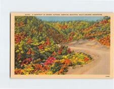Postcard A Roadway in Golden Autumn Showing Beautiful Multicolored Mountains picture