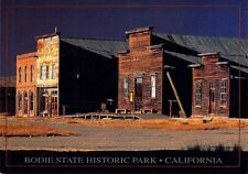 Bodie State Historic Park California Unposted Postcard M21 picture