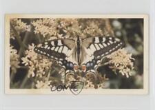 1983 Doncella British Butterflies Tobacco Swallowtail #30 1i3 picture