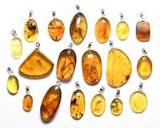 Sterling Silver Necklace - Fossil insect inclusion in Burmese Amber, Price Each picture