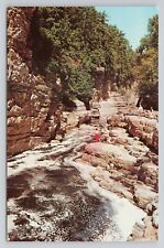 Postcard Down The River From Pulpit Rock At Famous Ausable New York picture