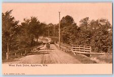 Appleton Wisconsin Postcard West Park Drive Exterior View Bridge c1910 Vintage picture