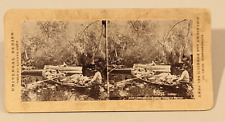 Jacksonville Florida Stereoview Photo Butcher Going to Market picture